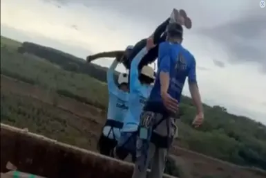 Imagem: divulgação
